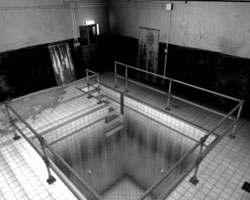 pool_2 /5bw